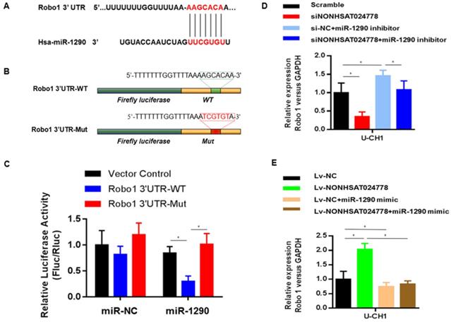 Int J Biol Sci Image