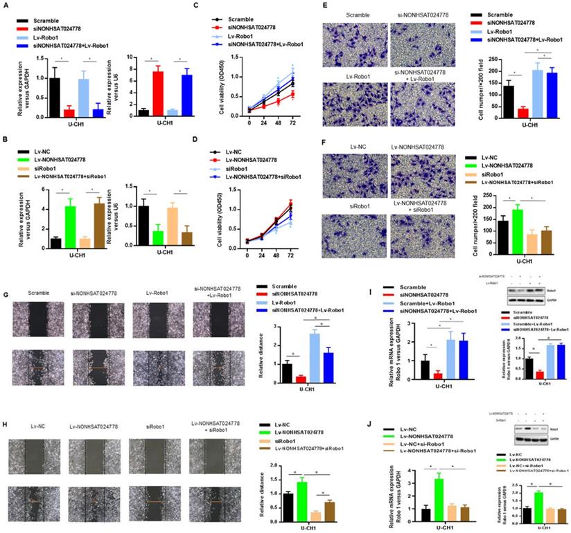 Int J Biol Sci Image