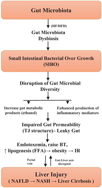 Int J Biol Sci Image