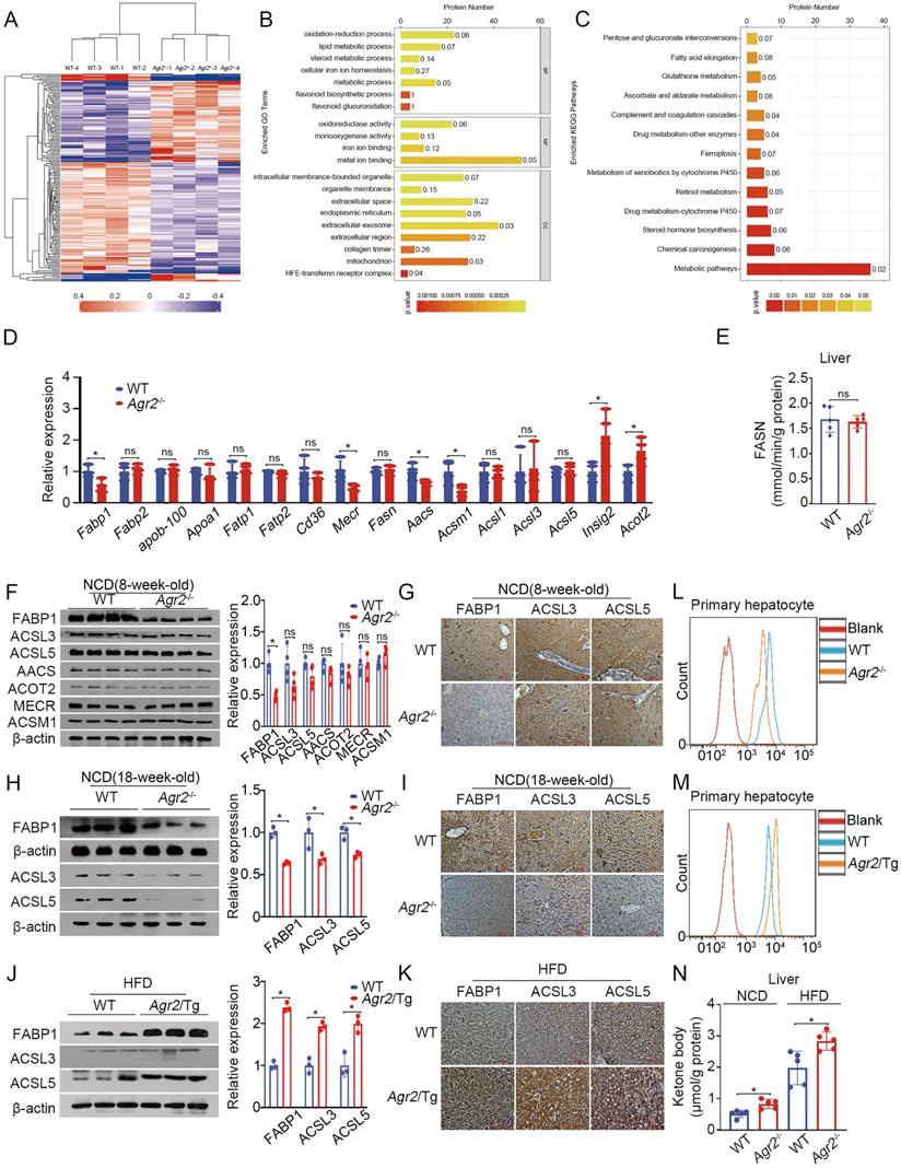 Int J Biol Sci Image