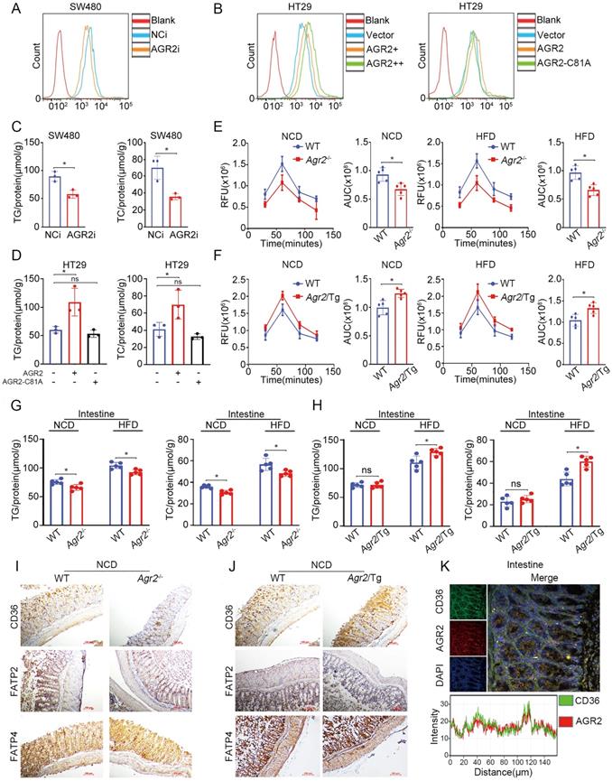 Int J Biol Sci Image