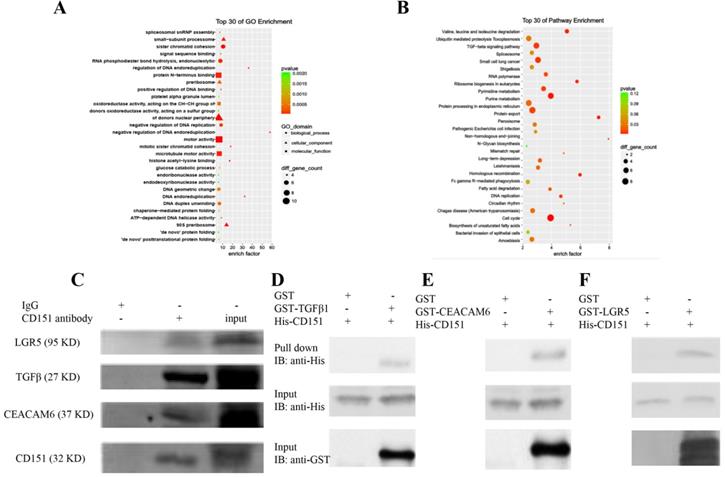 Int J Biol Sci Image