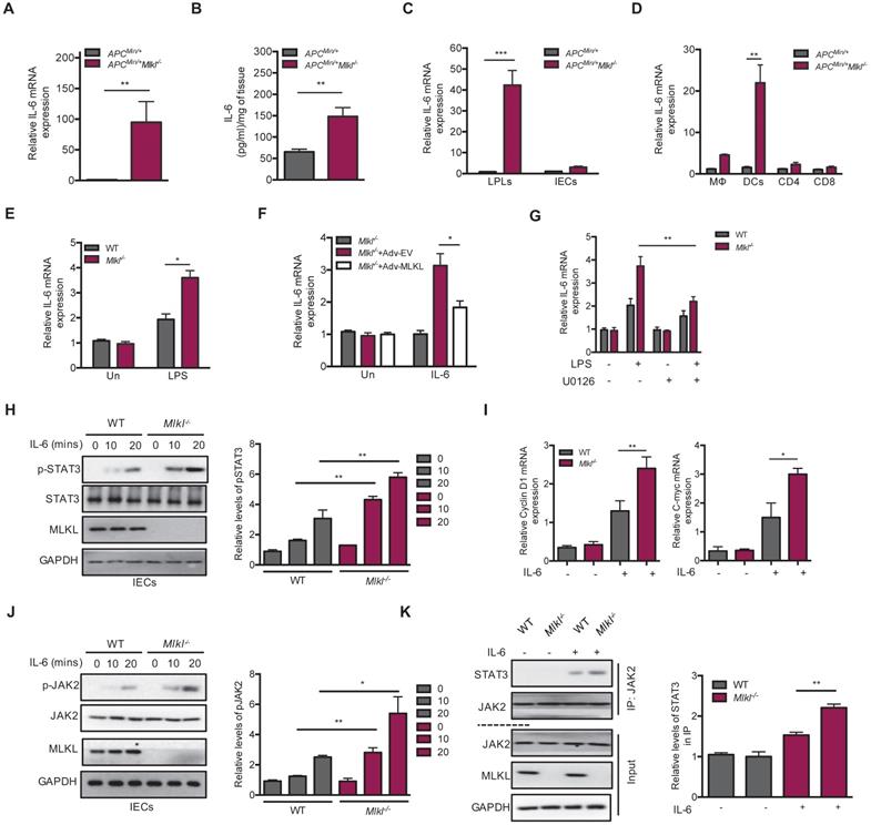 Int J Biol Sci Image