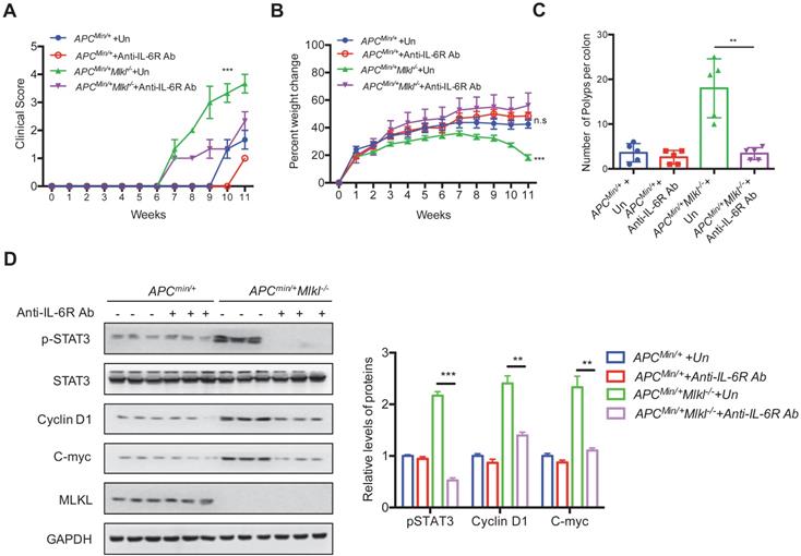 Int J Biol Sci Image