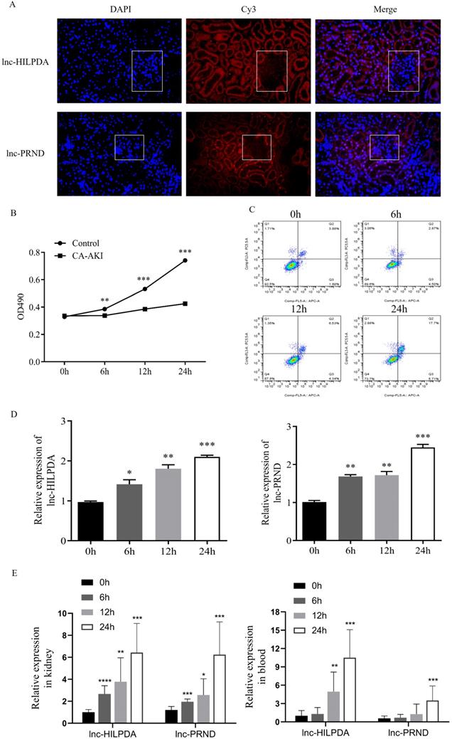 Int J Biol Sci Image