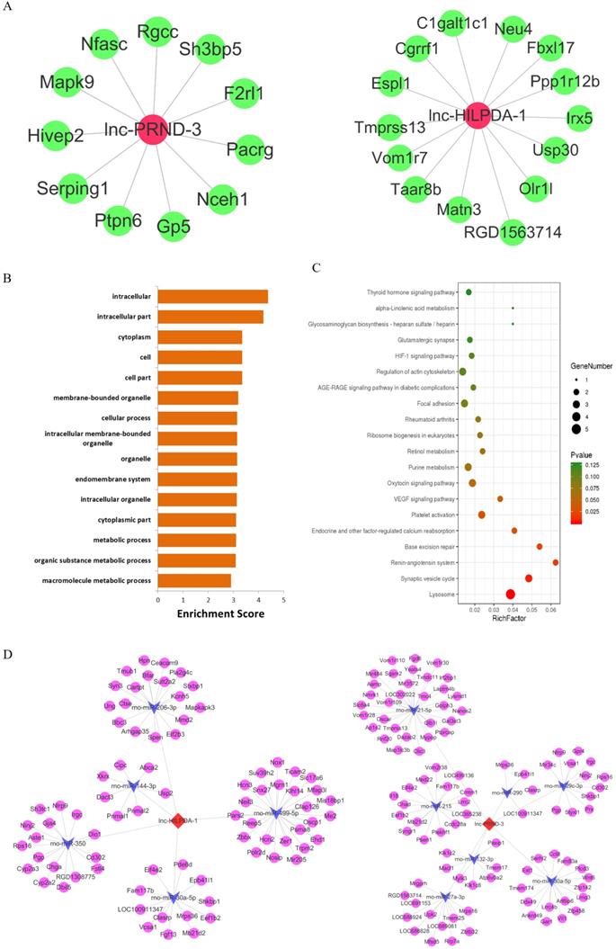 Int J Biol Sci Image