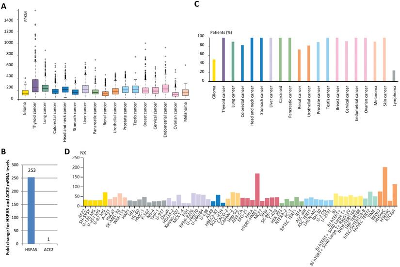 Int J Biol Sci Image