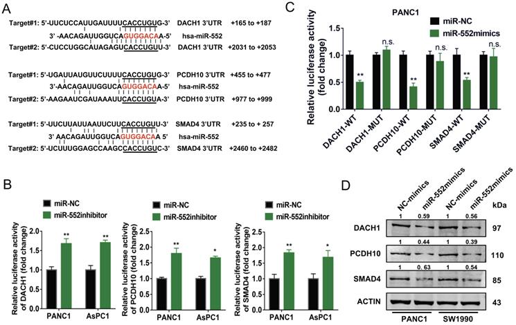 Int J Biol Sci Image