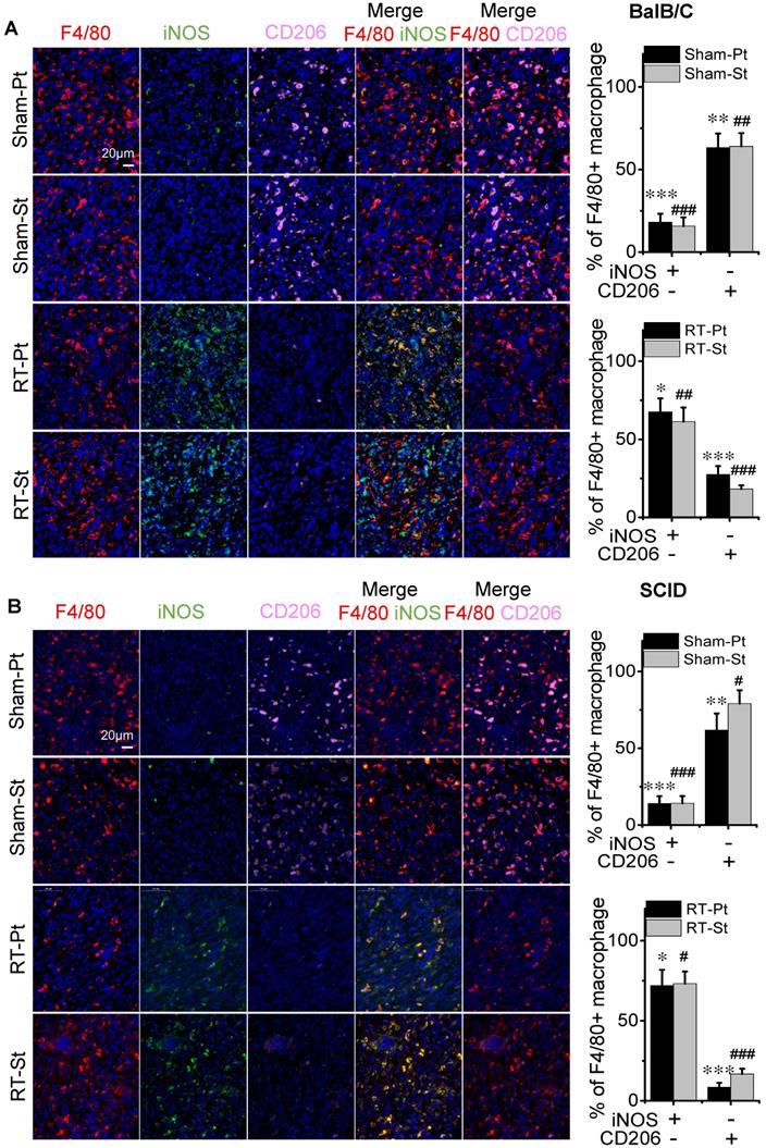 Int J Biol Sci Image