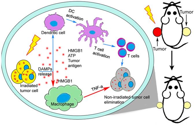 Int J Biol Sci Image