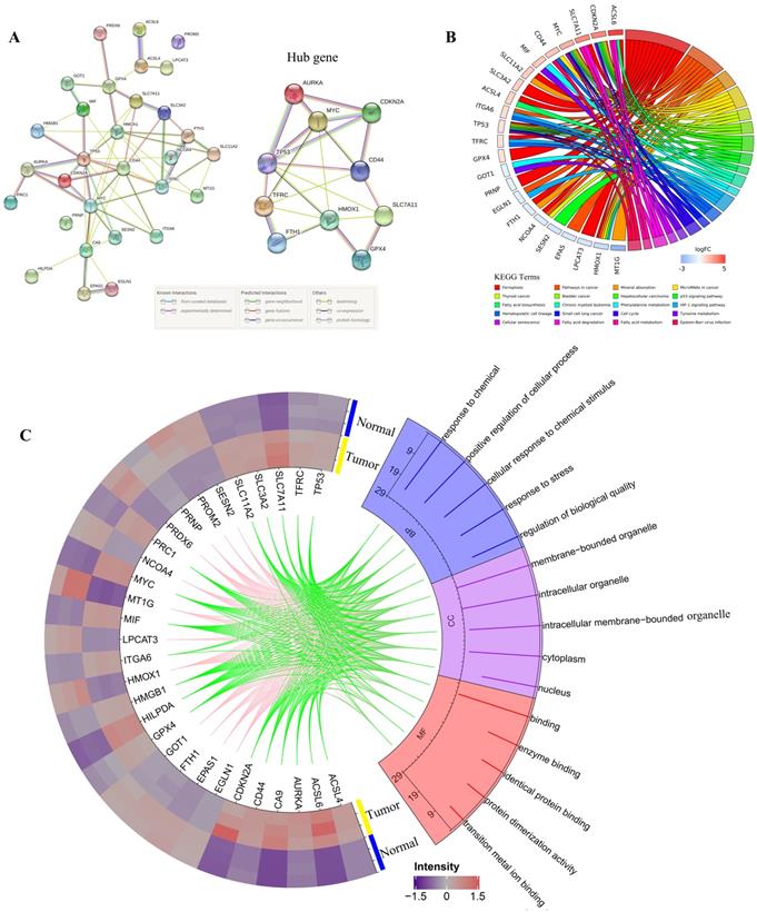 Int J Biol Sci Image