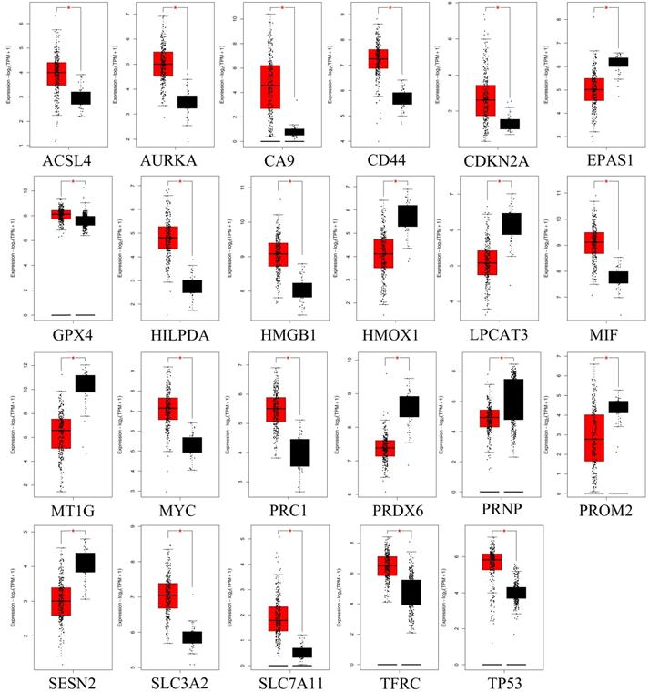 Int J Biol Sci Image