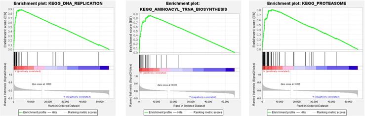 Int J Biol Sci Image