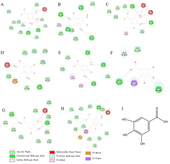 Int J Biol Sci Image