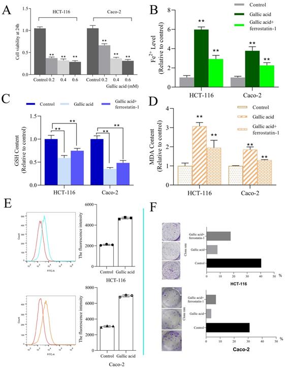 Int J Biol Sci Image