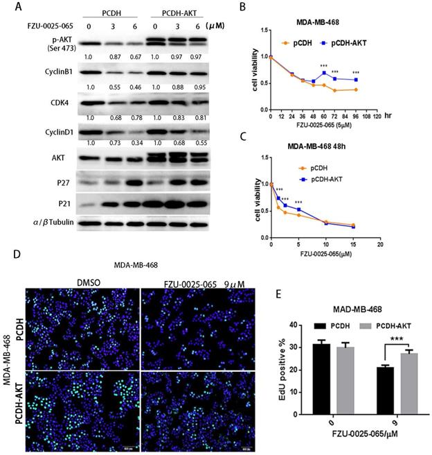 Int J Biol Sci Image