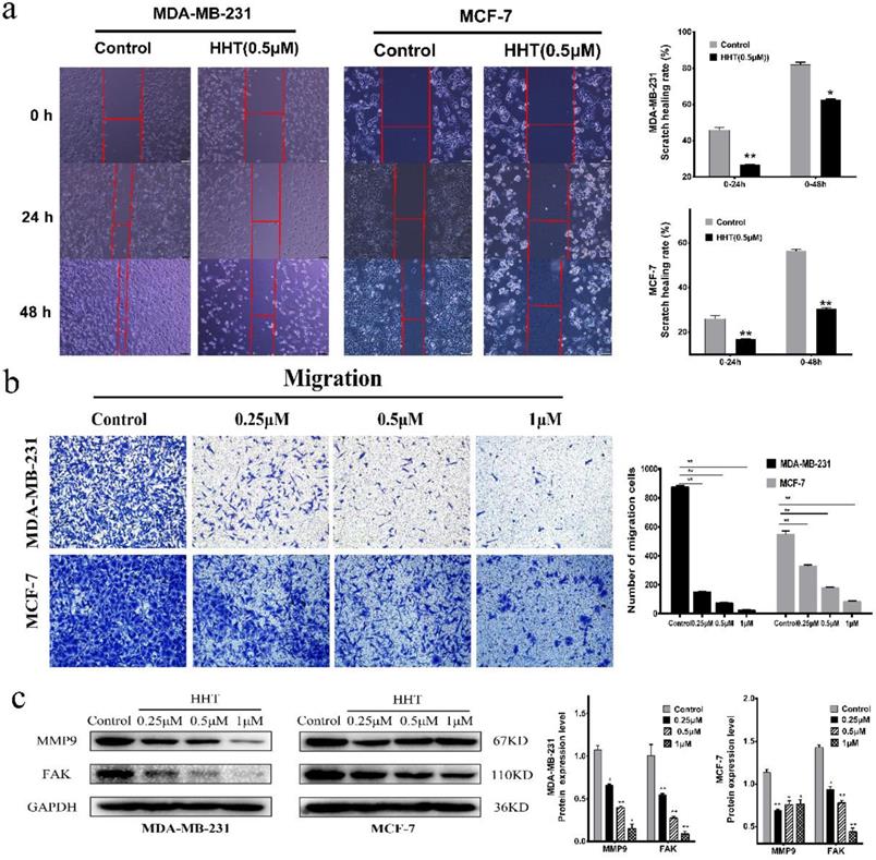 Int J Biol Sci Image