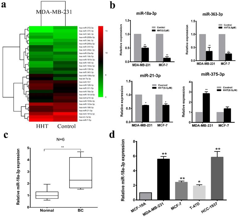 Int J Biol Sci Image