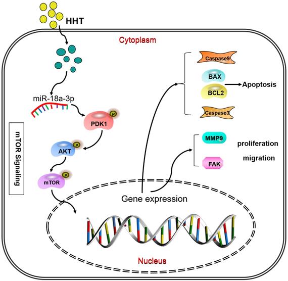 Int J Biol Sci Image