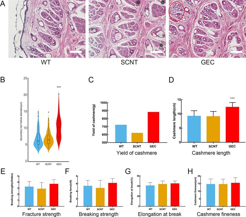 Int J Biol Sci Image