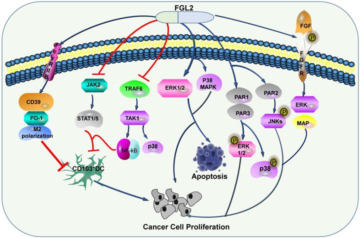 Int J Biol Sci Image