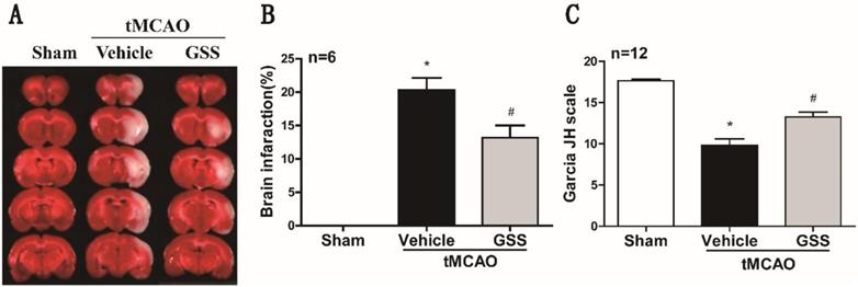 Int J Biol Sci Image