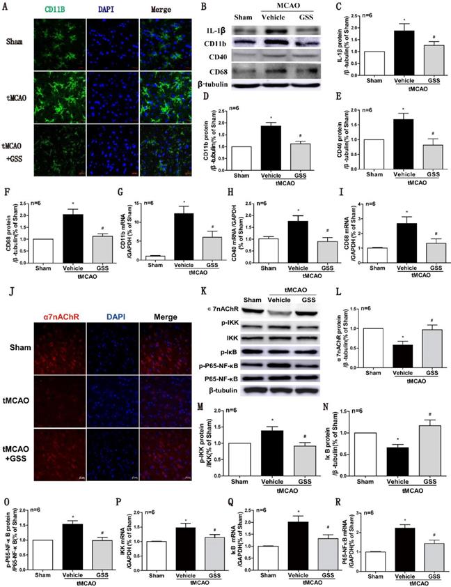 Int J Biol Sci Image