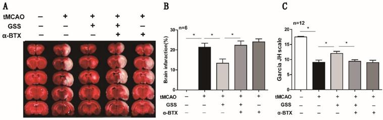 Int J Biol Sci Image