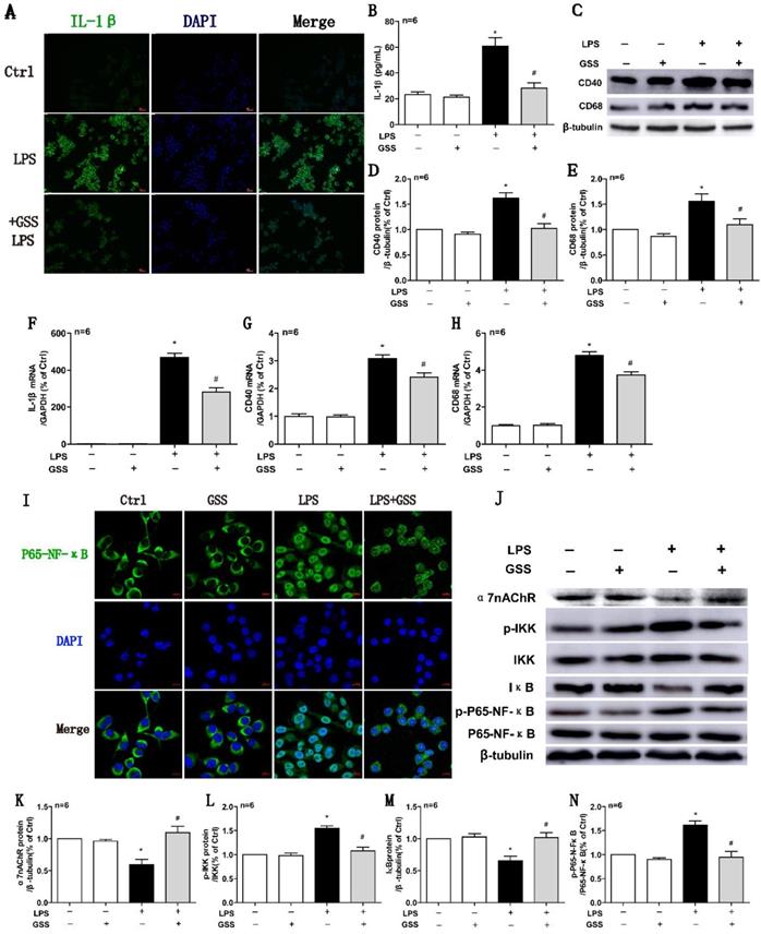 Int J Biol Sci Image