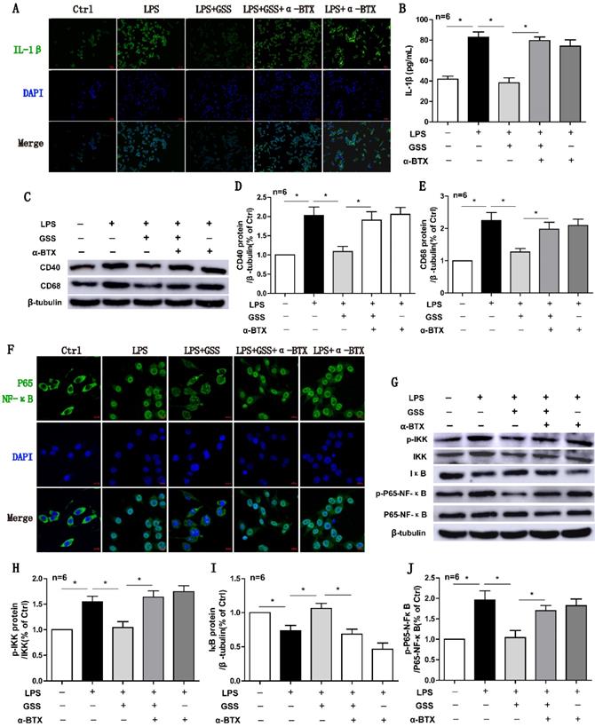 Int J Biol Sci Image