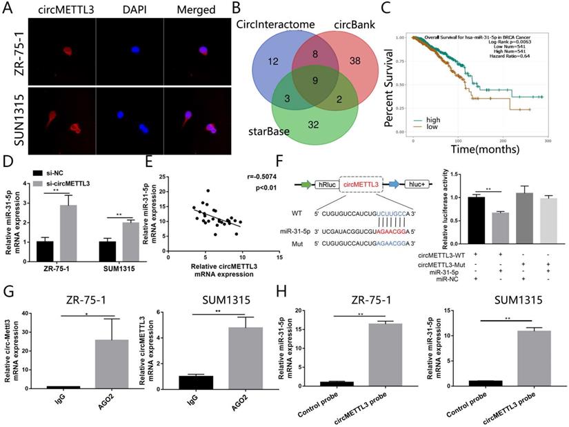 Int J Biol Sci Image