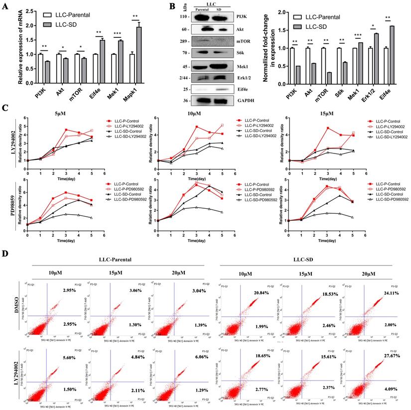 Int J Biol Sci Image