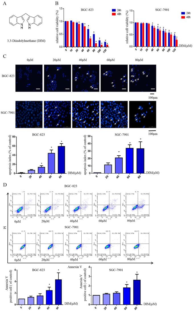 Int J Biol Sci Image