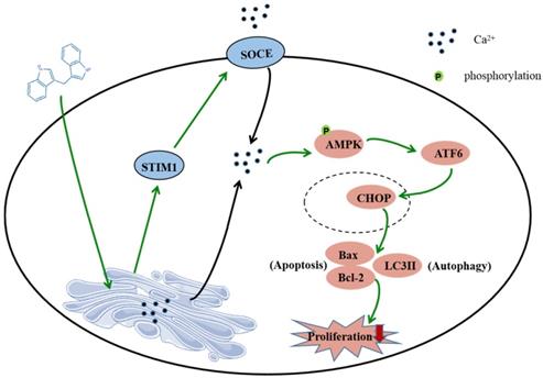 Int J Biol Sci Image