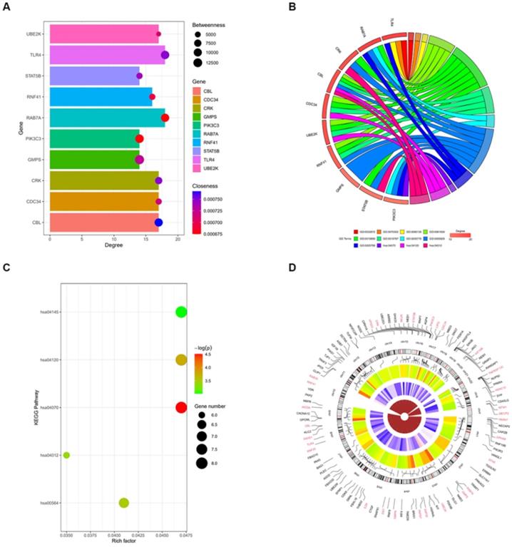 Int J Biol Sci Image