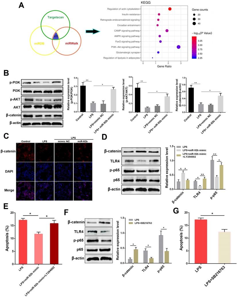 Int J Biol Sci Image