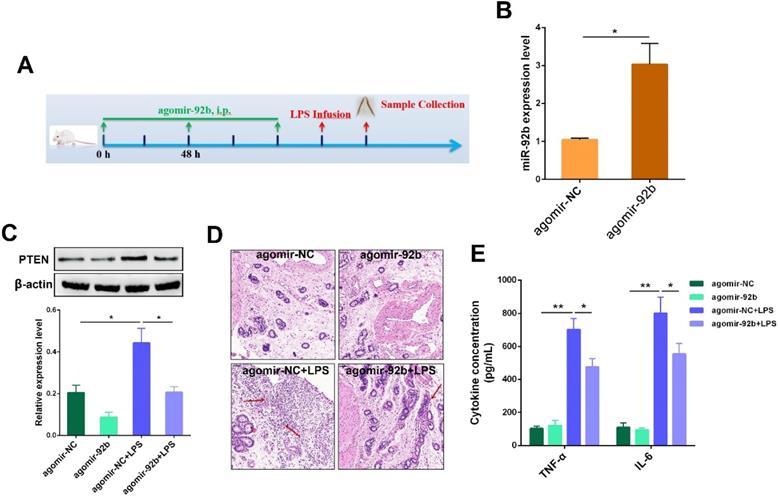 Int J Biol Sci Image