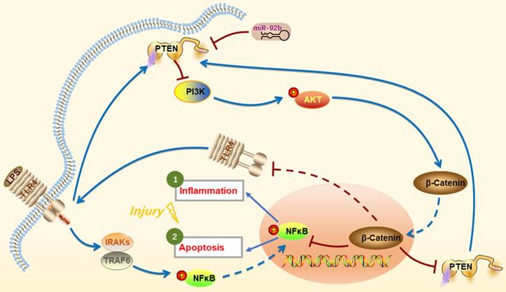 Int J Biol Sci Image