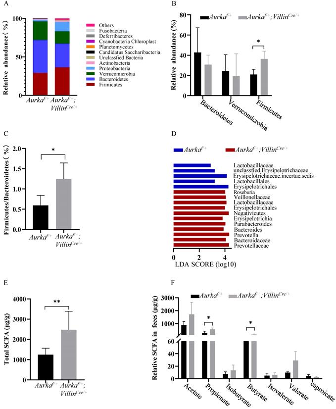 Int J Biol Sci Image