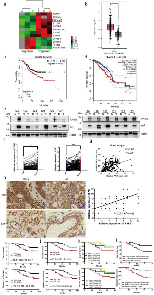 Int J Biol Sci Image