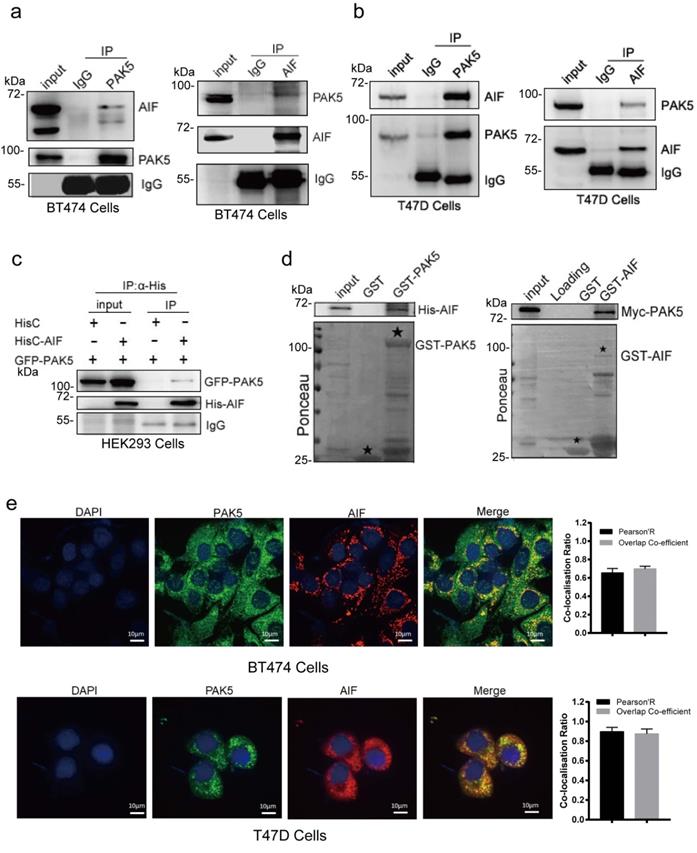 Int J Biol Sci Image