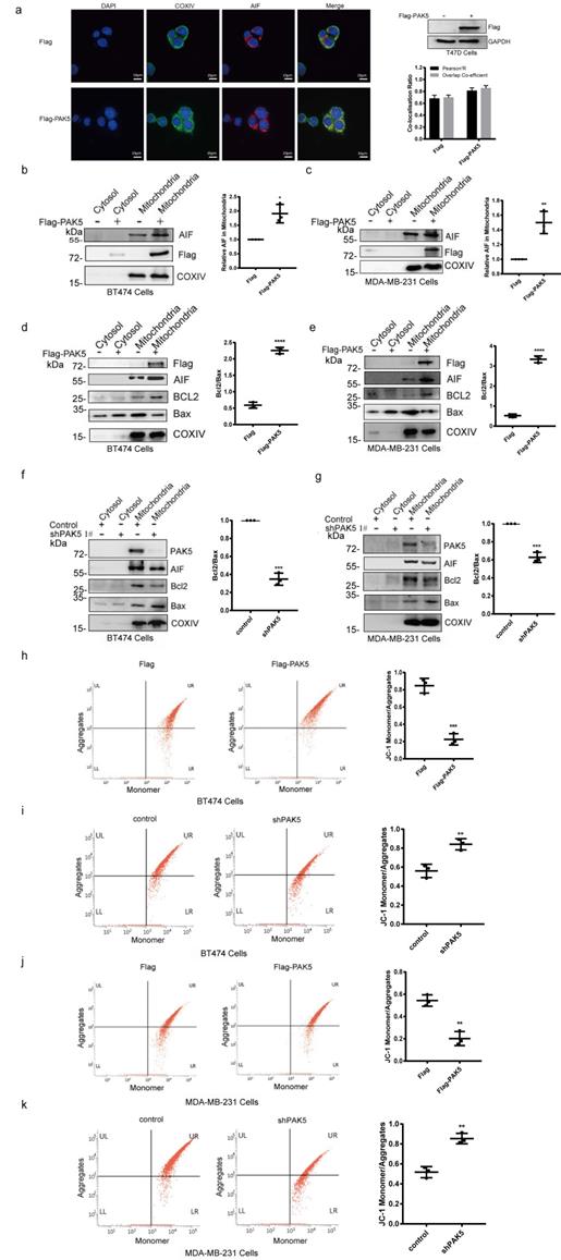 Int J Biol Sci Image