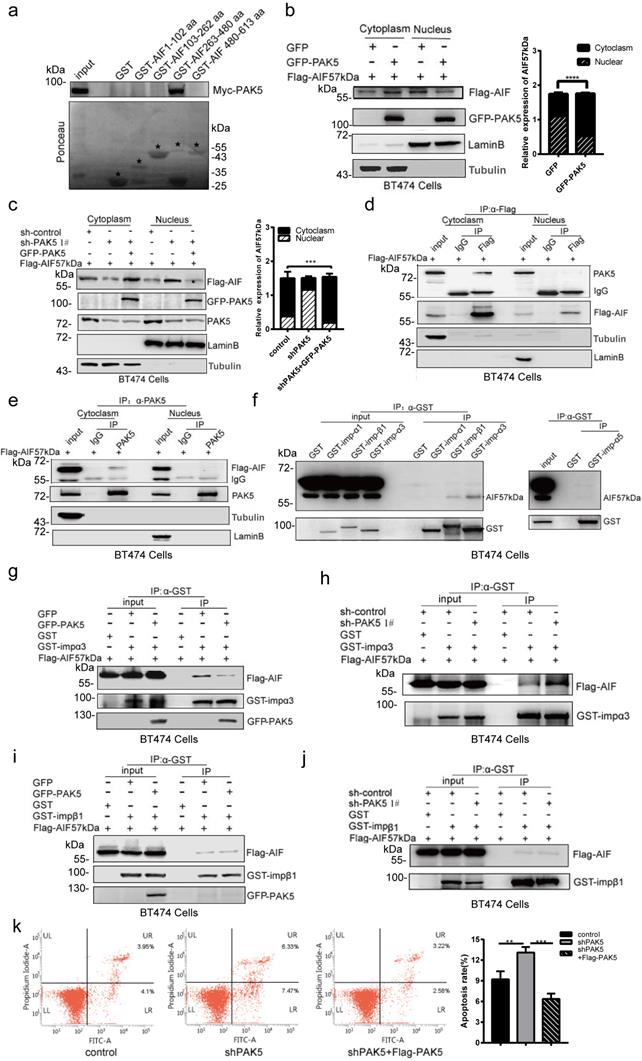 Int J Biol Sci Image