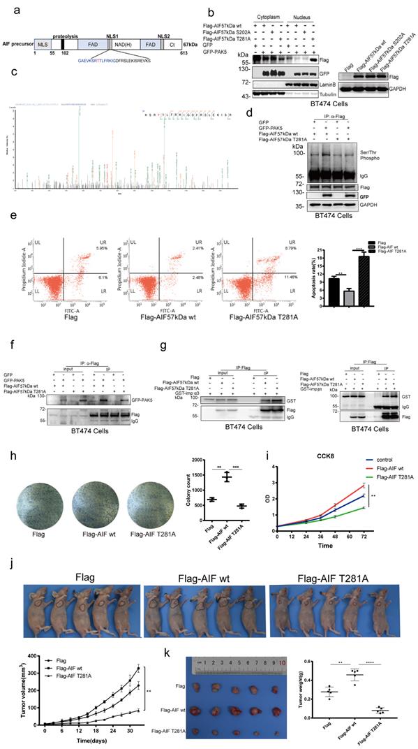 Int J Biol Sci Image