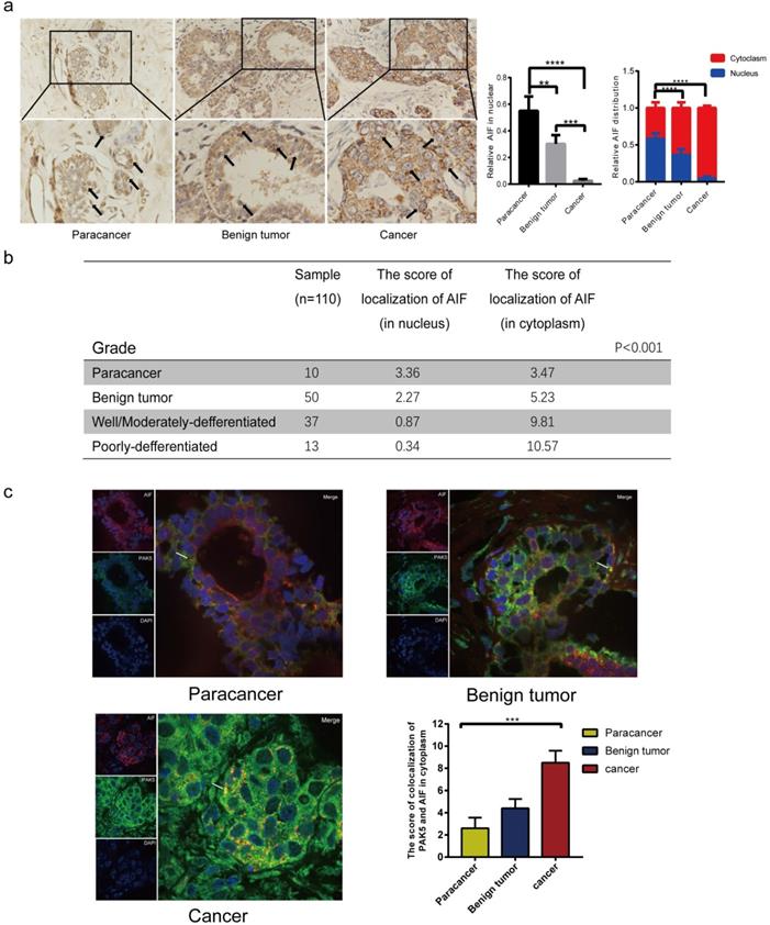 Int J Biol Sci Image