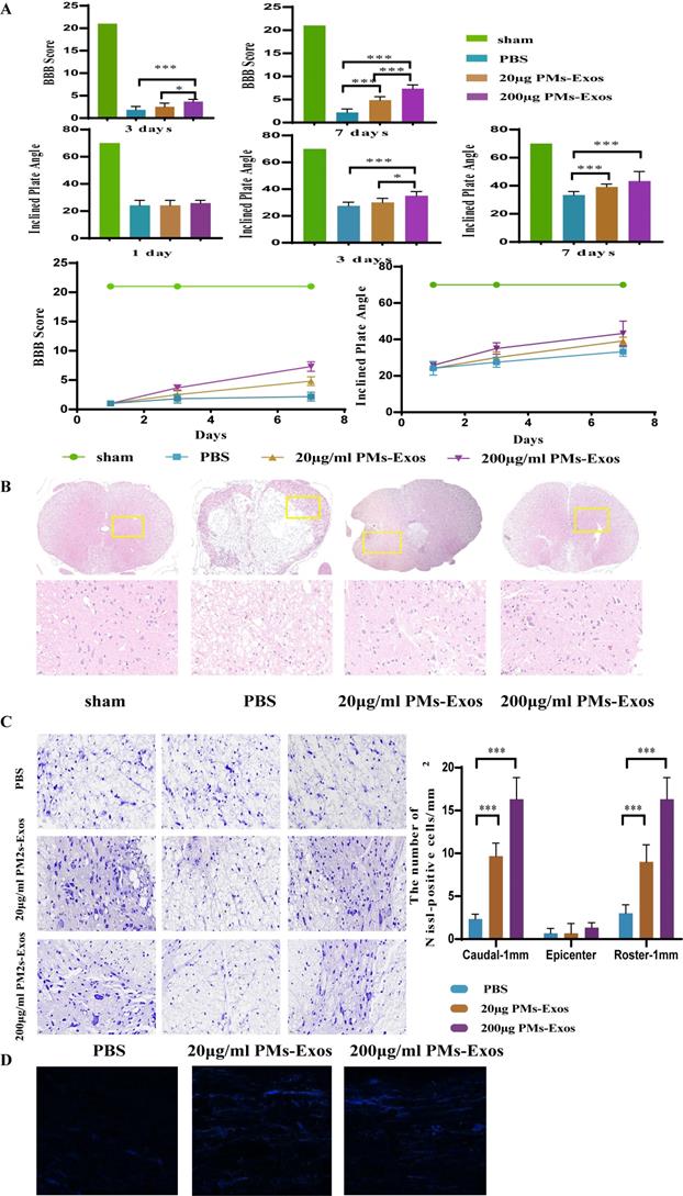 Int J Biol Sci Image