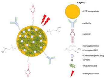 Int J Biol Sci Image