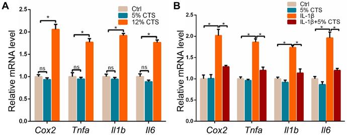 Int J Biol Sci Image