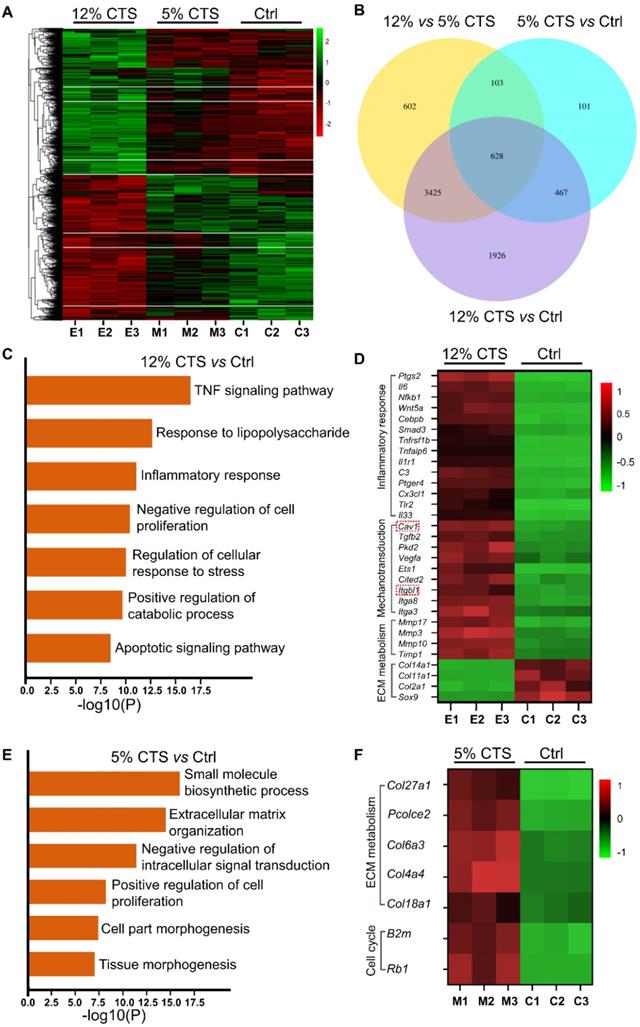 Int J Biol Sci Image