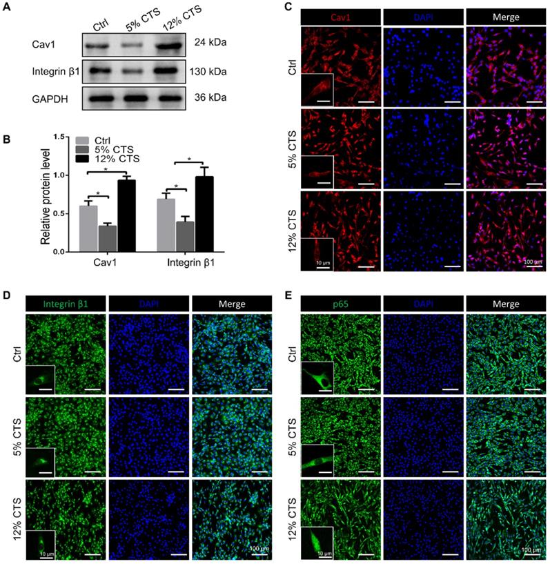 Int J Biol Sci Image